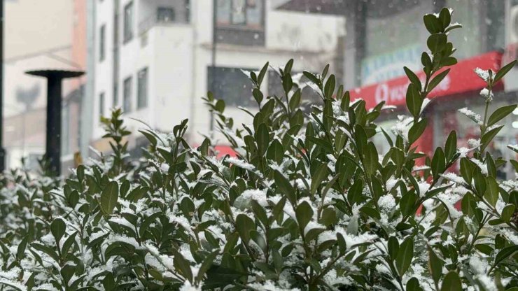 Tatvan’da kar yağışı