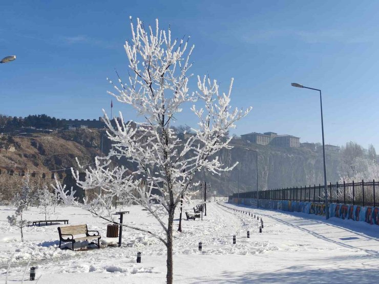 Göle eksi 16 dereceyi gördü, ağaçlar kırağı tuttu