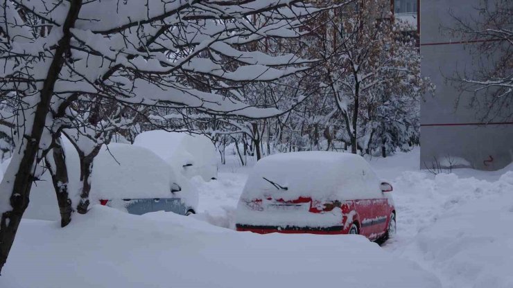 Bitlis’te kar yağışı nedeniyle 87 köy yolu ulaşıma kapandı