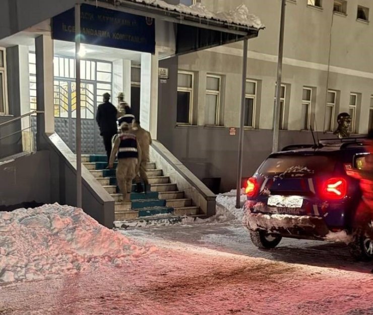 Tunceli’de yavru köpeğe eziyet eden şahıs tutuklandı