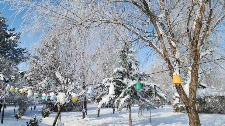 Elazığ’da dondurucu soğuklar: Karakoçan’da termometreler -22’yi gösterdi