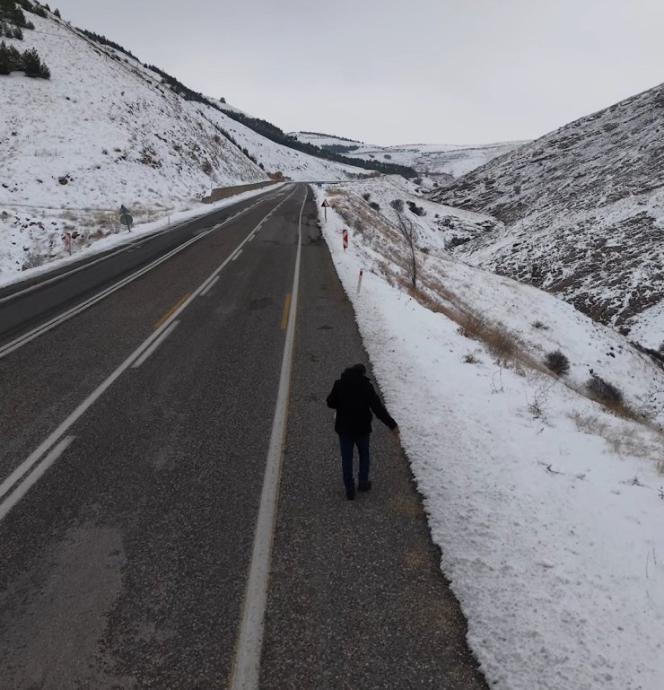 Kuşlar için yol kenarlarına buğday serptiler