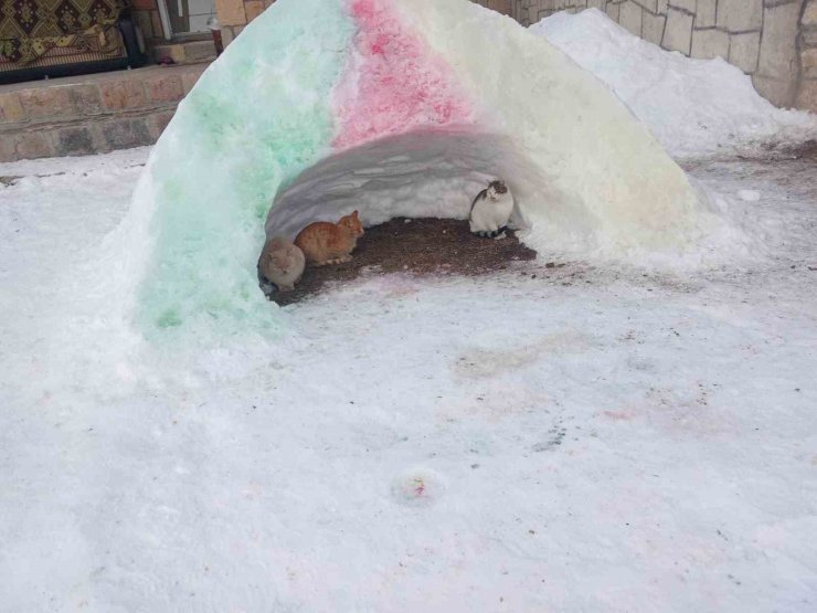 Diyadin’de hayvanlara kardan barınak