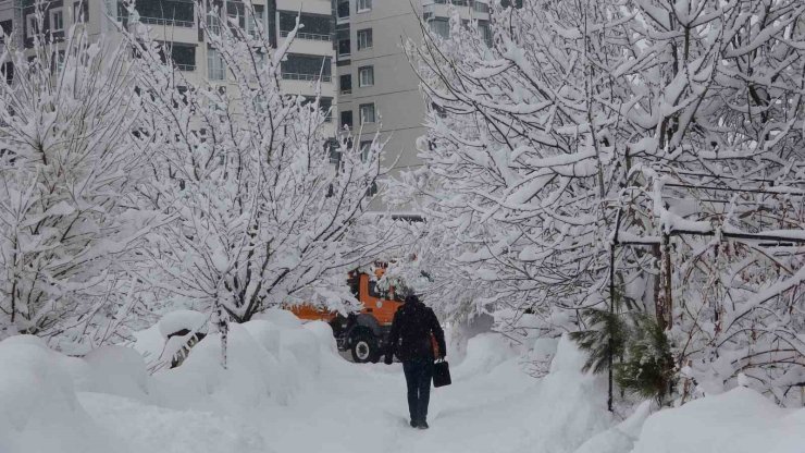 Bitlis’te kar yağışı yeniden etkili oldu