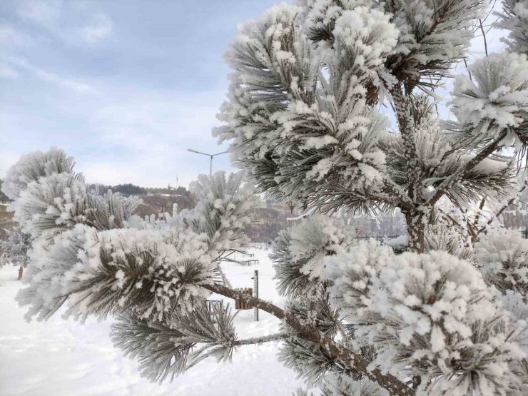 Ardahan’da dondurucu soğuklar etkili oldu