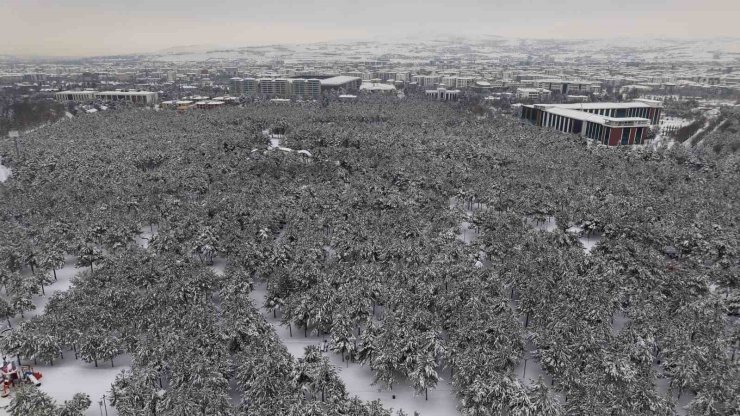 Elazığ’da beton yığınlarının arasındaki beyaz vaha mest etti