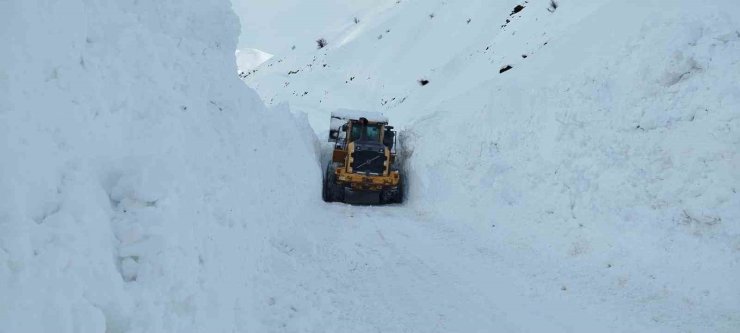 Yüksekova’da mezra yoluna düşen çığ temizlendi