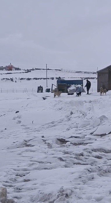 Kars’ın soğuğunda enerji mesaisi: Aras Edaş ekiplerinin soğukla imtihanı