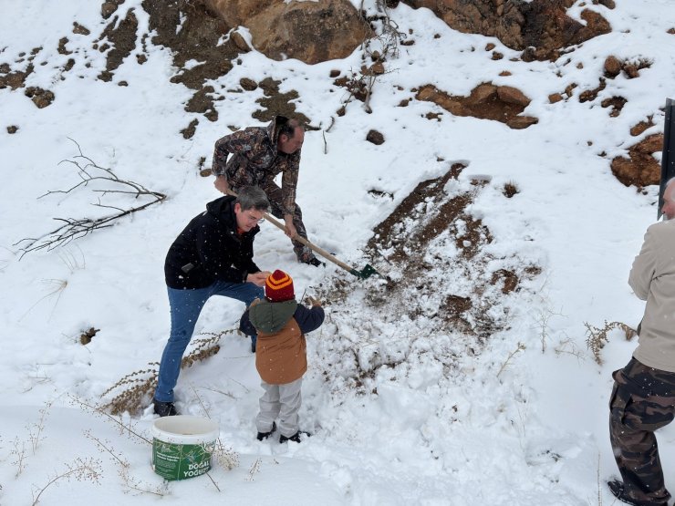 Kemaliye’de yaban hayvanları için yemleme faaliyeti gerçekleştirildi