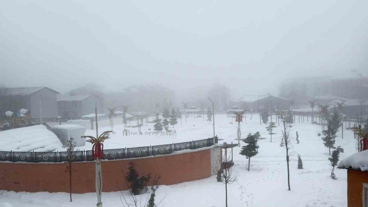 Hakkari’de karla karışık yağmur ve sis etkili oldu