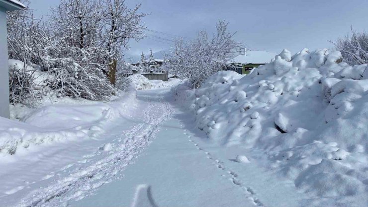 Karlıova’da kar yağışı etkisini sürdürüyor