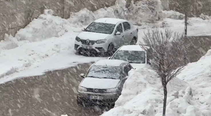 Yüksekova’da lapa lapa kar yağışı başladı