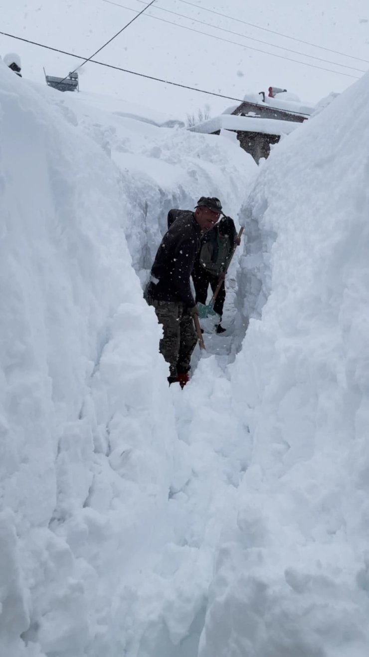 Ovacık’ta besicilerin zorlu kış mesaisi: Hayvanları suya götürmek için metrelerce kalınlıktaki karı kürekle temizlediler