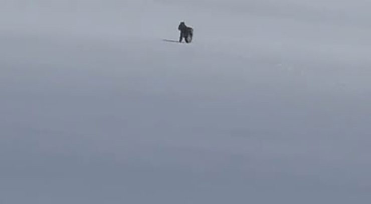 Adilcevaz’da kar üzerinde vaşak görüntülendi