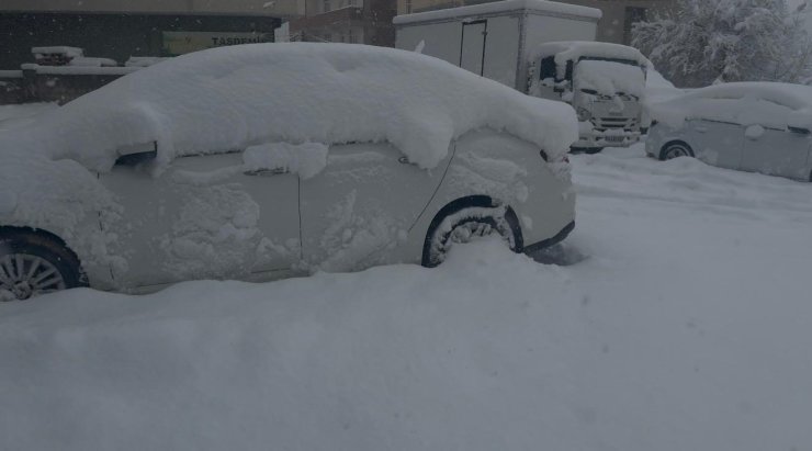 Patnos’ta baharı beklerken 40 santimetre kar yağdı