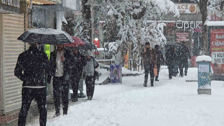Van’da Mart sürprizi: Bahar beklerken kar kapıya dayandı