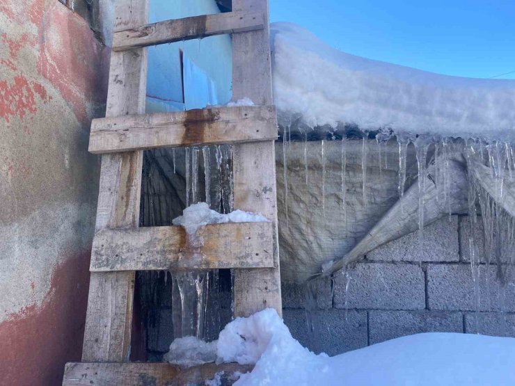 Patnos’ta kar yağışının ardından don etkili oldu