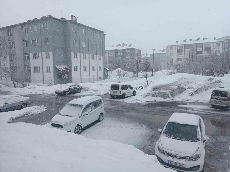 Bitlis’te kar yağışı