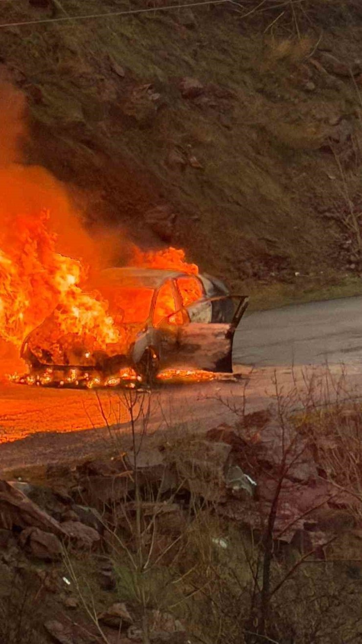Elazığ’da yanan otomobil küle döndü