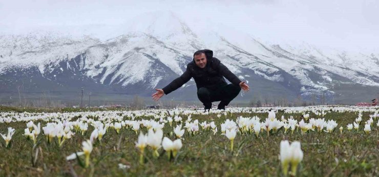 Bitlis’te baharın müjdecisi kardelenler açtı