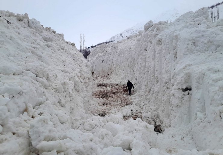 Yüksekova’da çığ meyve bahçelerini yuttu: Köy yolu kar tünelleriyle açılıyor