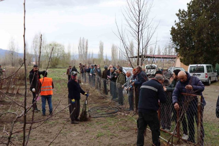 Meyve fidanı satışı 30 Mart’ta yapılacak