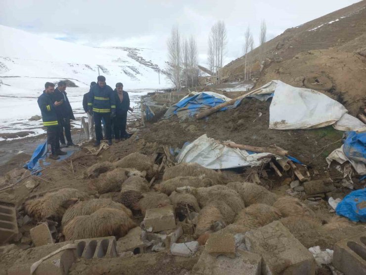 Van’da ahır çöktü, 23 küçükbaş hayvan telef oldu