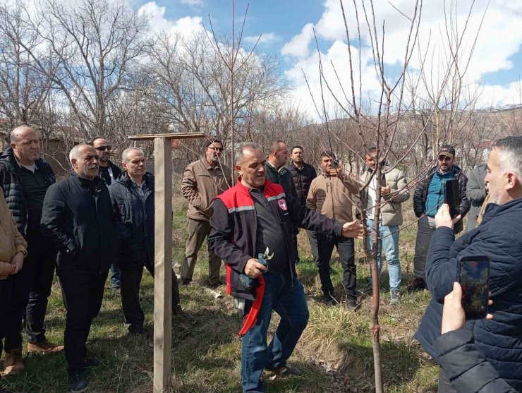 Erzincan’da çiftçilere budama eğitimi verildi