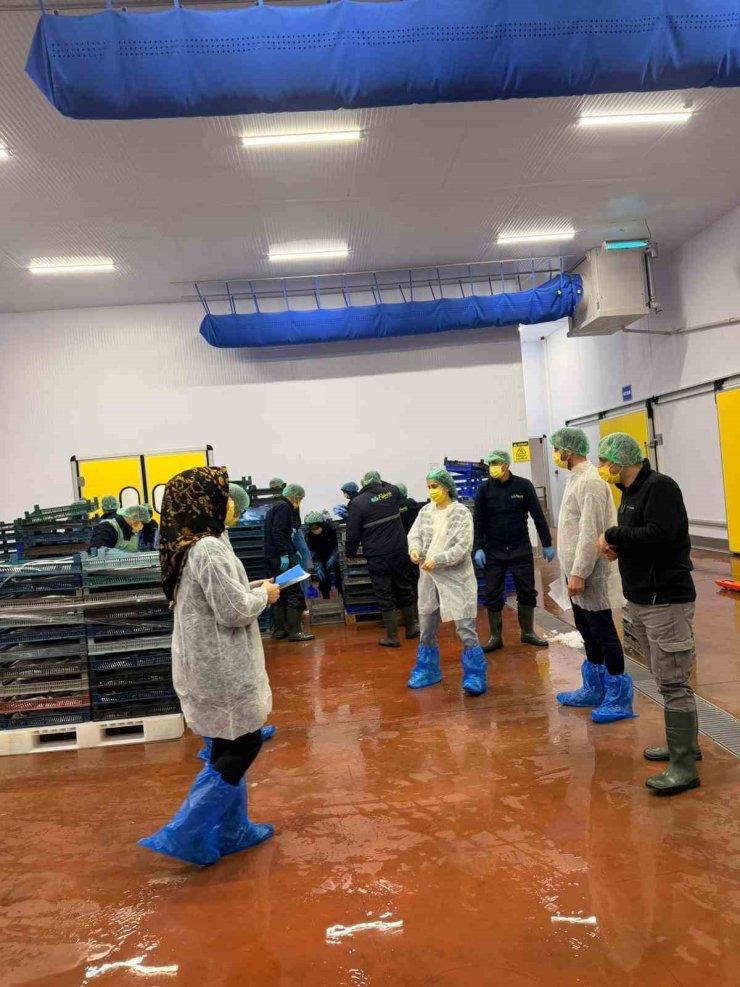 Bingöl’de balık işleme tesisleri denetlendi