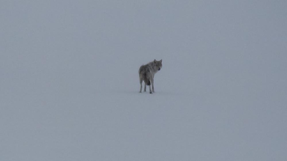 aw676052-02.jpg