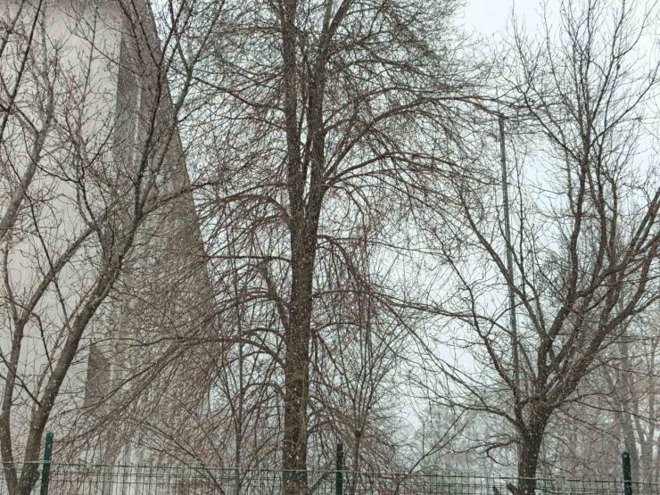 Bahar gelmeden kış geri döndü; Diyadin’e kar sürprizi