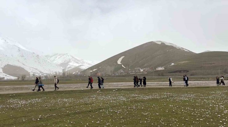 Üniversite öğrencilerinden çiğdemler arasında doğa yürüyüşü