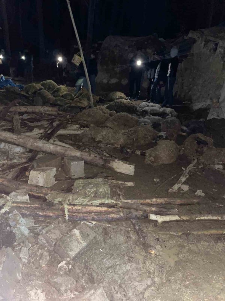 Van’da ahır çöktü: 56 küçükbaş hayvan telef oldu