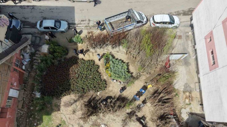 Muş’ta meyve fidanları satışa çıkarıldı