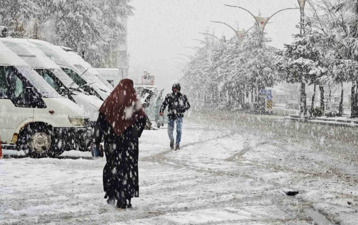 Ahlat’ta nisan karı etkili oldu