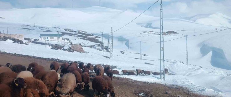 Ağrı’da Nisan ayında kar yağışı yolları kapattı