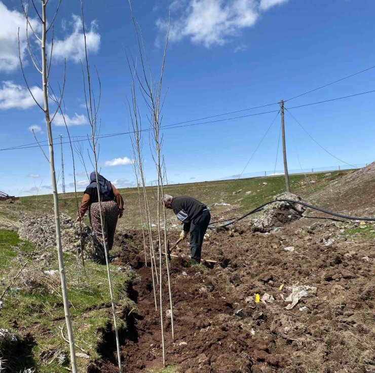 Ağrı’da vatandaşlar imece usulü fidan dikerek geleceğe nefes oluyor