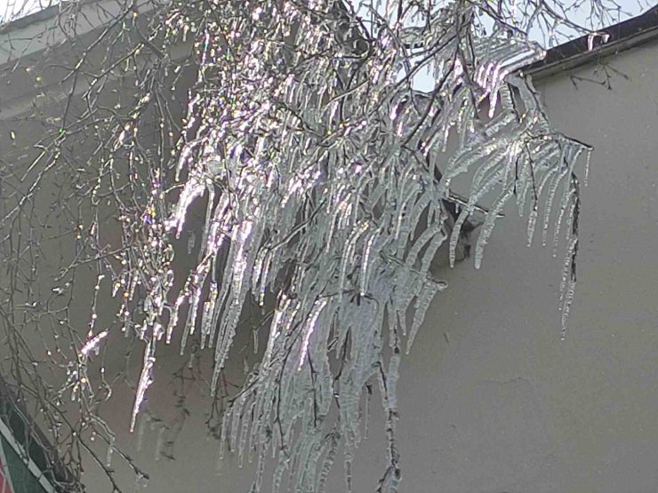 Hava sıcaklığı eksi 10’a düştü, ağaç dalları dondu