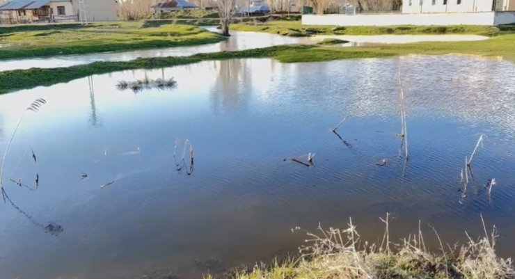 Ağrı’da sağanak nedeniyle dereler taştı