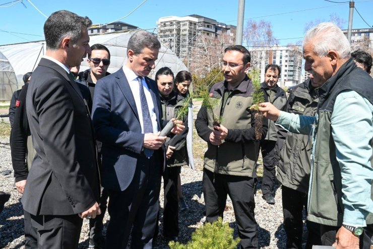 22 yılda 109 milyon 508 bin adet fidan toprakla buluştu