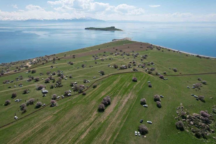 Badem çiçekleri Çarpanak Yarımadası’nda görsel şölen sundu