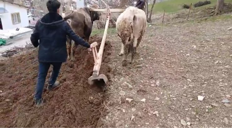 Zamana direnen gelenek: Bahçesaray’da traktörün giremediği dik yamaçlarda karasaban mesaisi