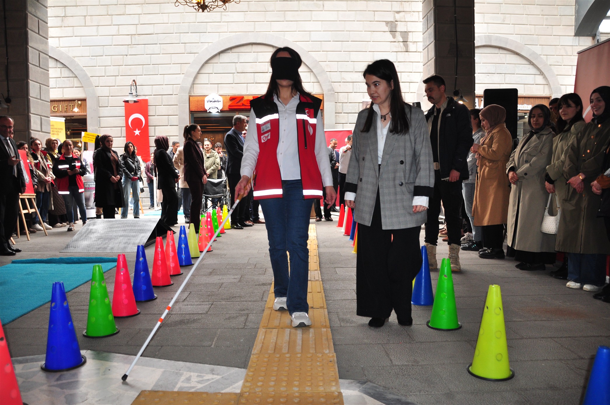 dsc-0856.jpg