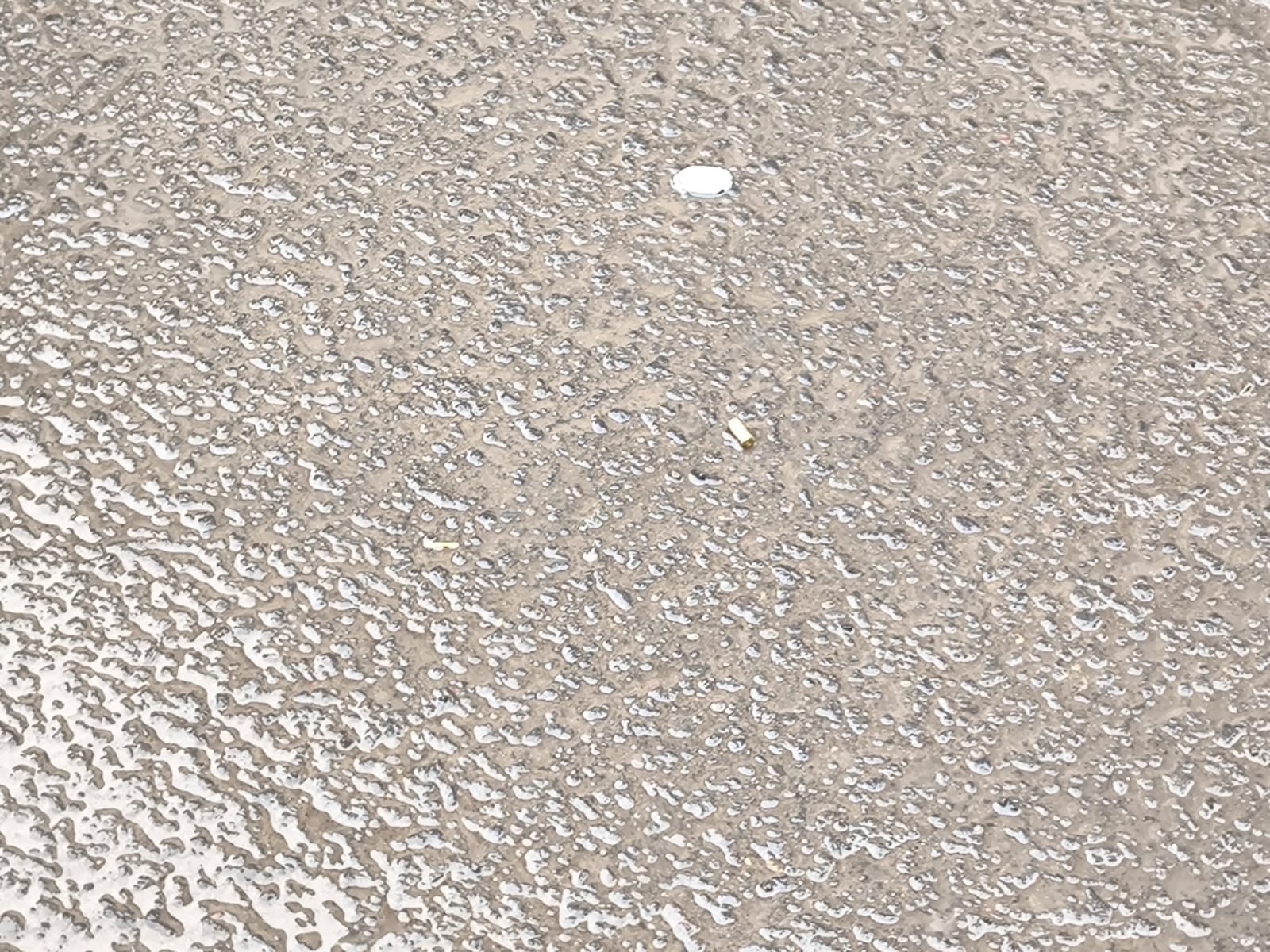 755d830d-5a9f-4a99-93d3-433bc6465b48.jpg
