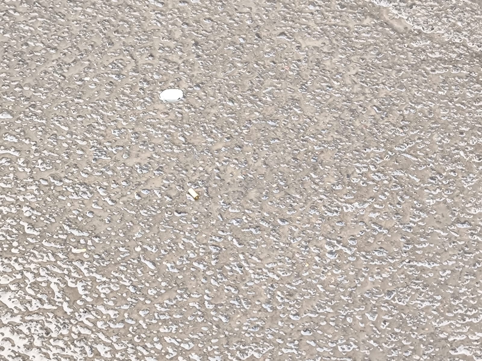 fef184f8-931e-4144-b5c9-cbda432477ca.jpg