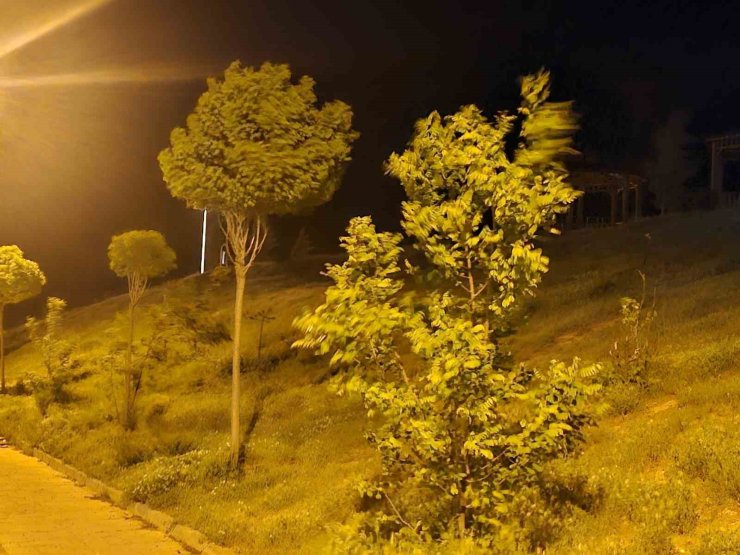 Elazığ’da kuvvetli rüzgar etkili oldu