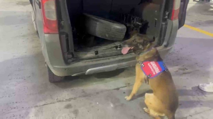 Bagaj ve kaputa gizlenen uyuşturucuyu narkotik köpeği ‘Ayar’ buldu