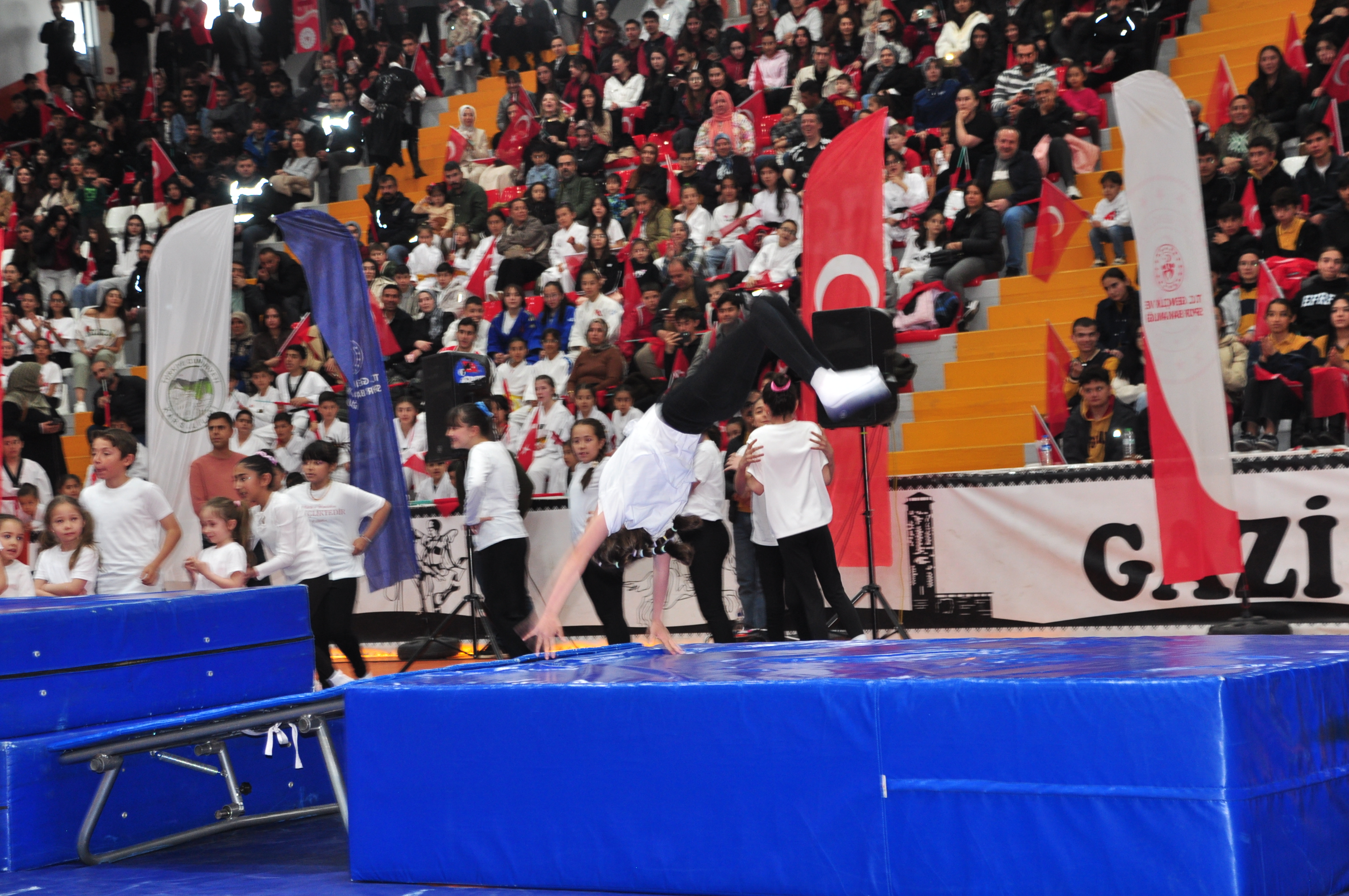 dsc-0940.jpg