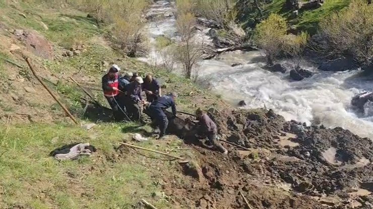 Hakkari’de bataklığa saplanan inek kurtarıldı