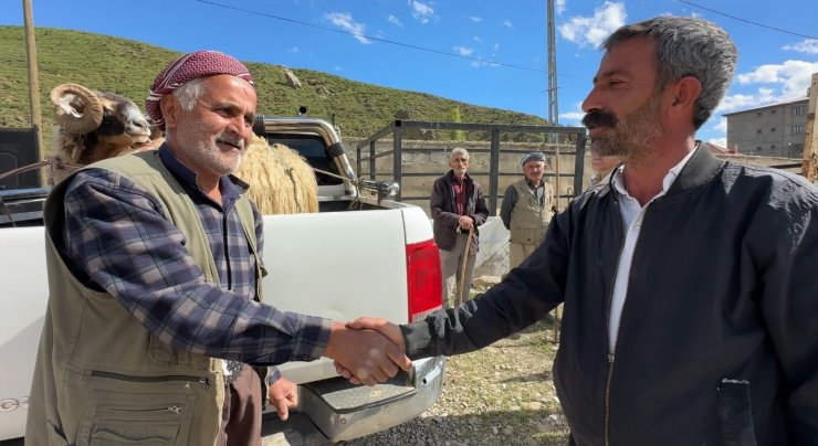 Yüksekova’da hayvan pazarında bayram hareketliliği